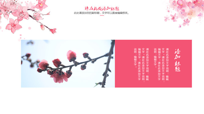 三生三世十里桃花PPT模板-叨客学习资料网