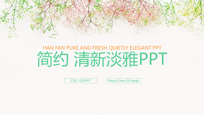 简约唯美淡雅小清新PPT模板-叨客学习资料网
