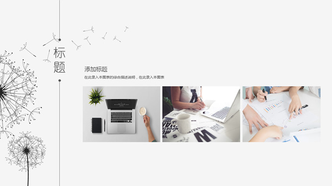 简约素雅蒲公英通用PPT模板-叨客学习资料网