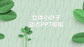 清新绿色立体小叶子PPT模板-叨客学习资料网