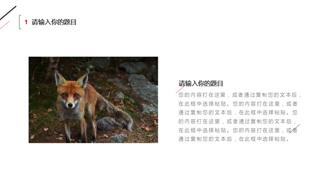 简约红黑三角线条PPT模板-叨客学习资料网