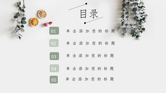 淡雅文艺自然小清新PPT模板-叨客学习资料网