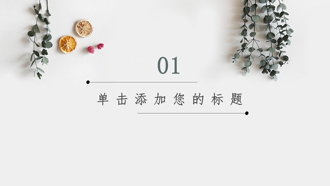 淡雅文艺自然小清新PPT模板-叨客学习资料网