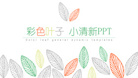 简洁小清新彩色叶子PPT模板-叨客学习资料网