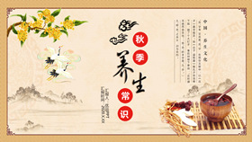 中医养生知识讲座PPT模板-叨客学习资料网