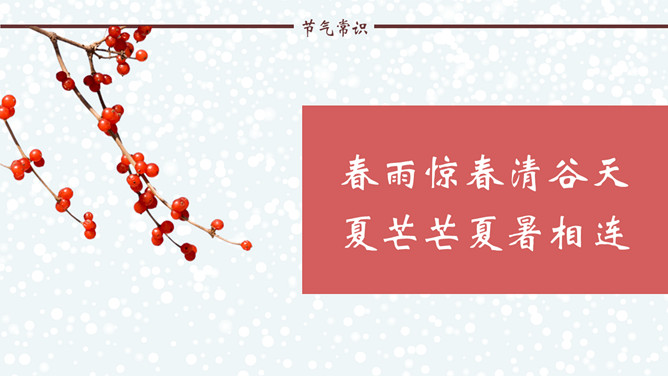 雪花小鸟话冬至PPT模板-叨客学习资料网