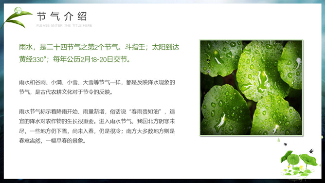 水珠雨水节气介绍PPT模板-叨客学习资料网