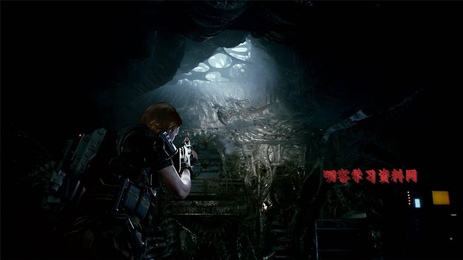 图片[4]-《异形：火力小队精英》v1.0.5中文版-叨客学习资料网