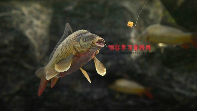 《人渣》v0.9.500.80425中文版-叨客学习资料网