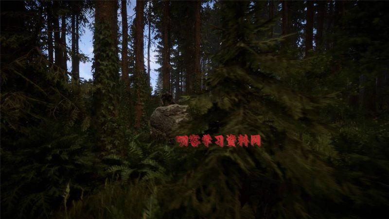 《森林之子》Build.07122023联机版-叨客学习资料网