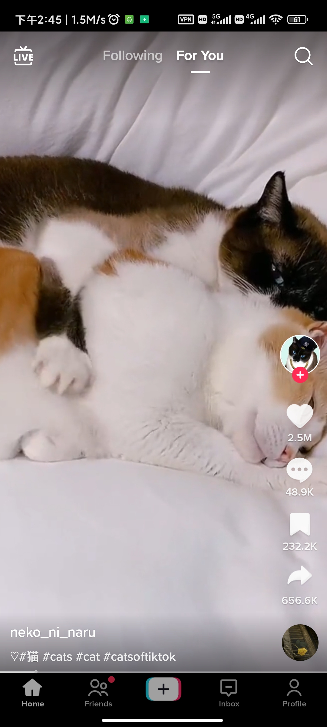 国际版抖音tiktok2023年11月最新破解版,无需拔卡,完美去广告、水印,解除所有下载限制——如何下载国际版抖音Tiktok破解版-叨客学习资料网