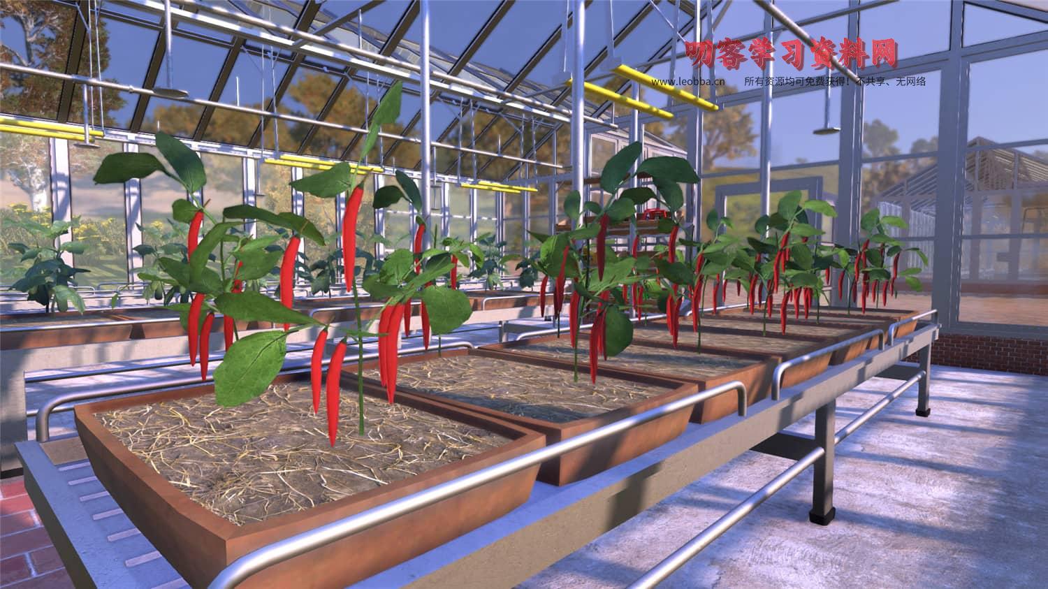 图片[5]-《农夫王朝》v1.07中文版-叨客学习资料网