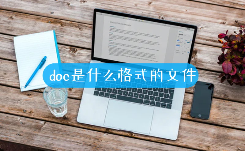 doc是什么格式的文件-叨客学习资料网