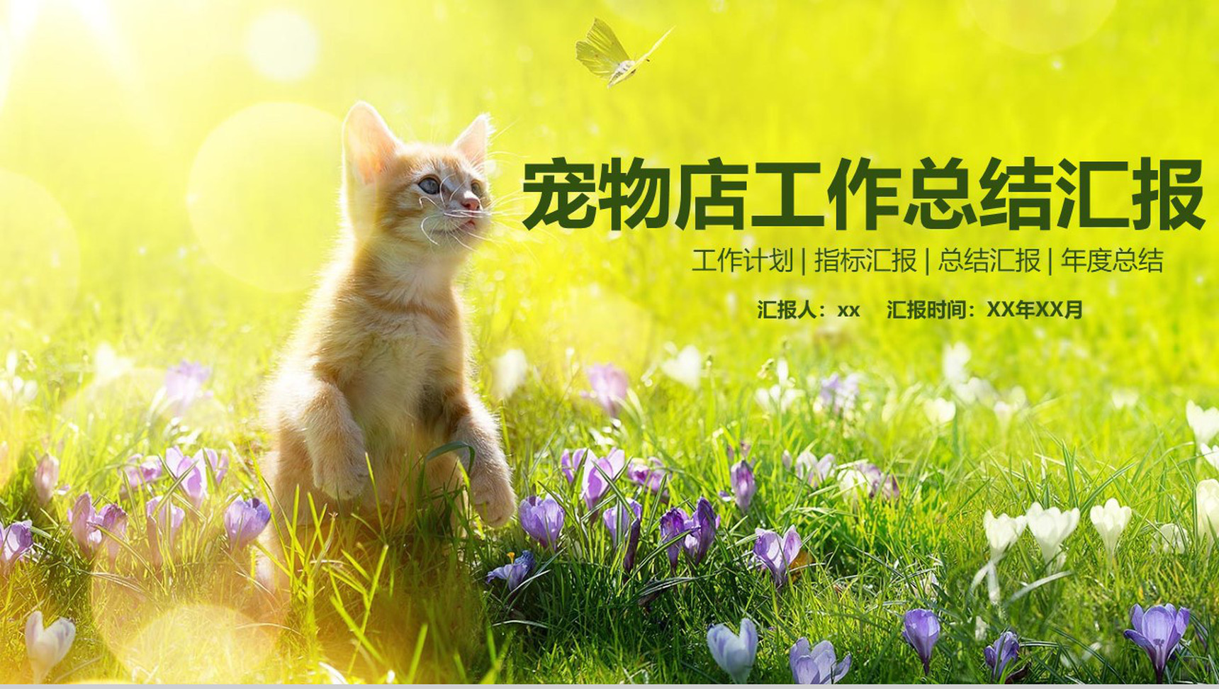 小清新宠物店工作总结汇报PPT模板-叨客学习资料网