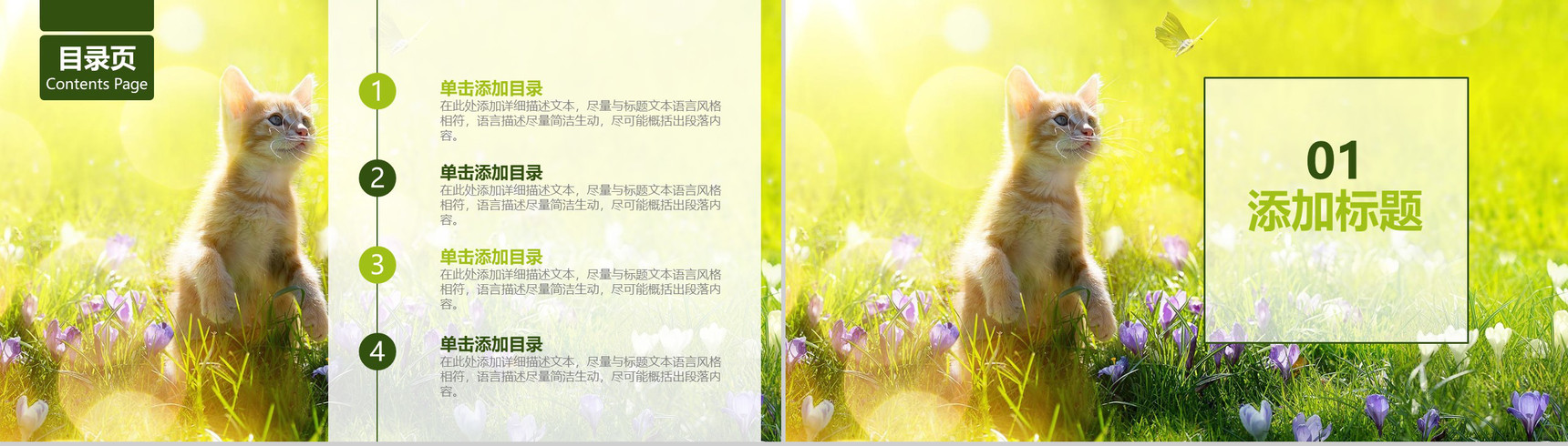 小清新宠物店工作总结汇报PPT模板-叨客学习资料网