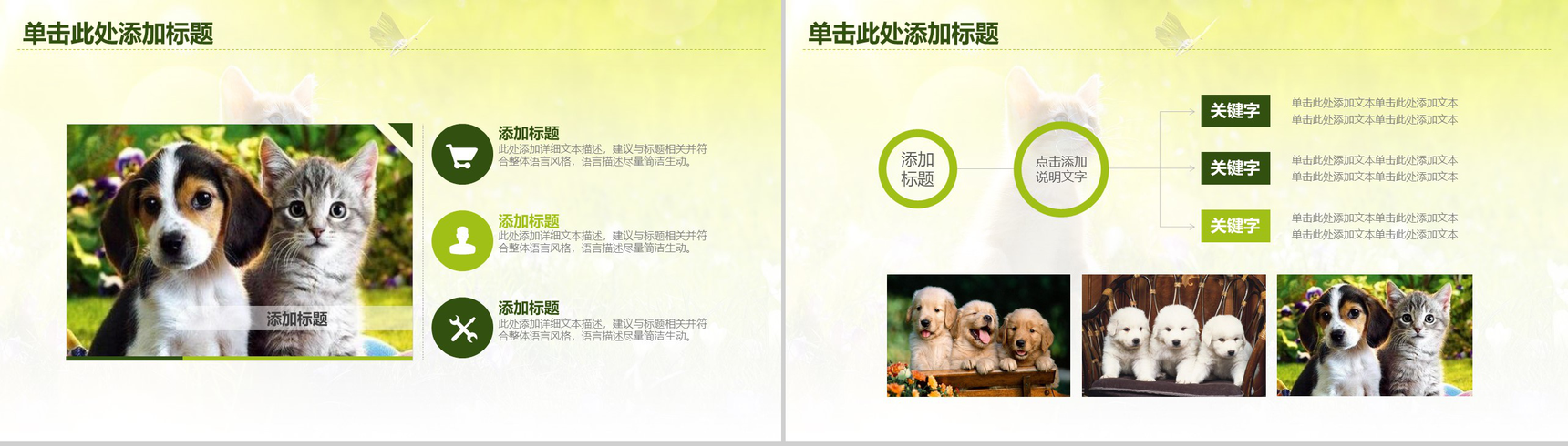 小清新宠物店工作总结汇报PPT模板-叨客学习资料网