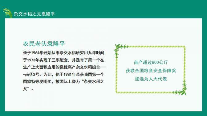 图片[6]-中国工程院院士杂交水稻之父袁隆平动态PPT—免费分享好看实用的个人简历PPT-叨客学习资料网