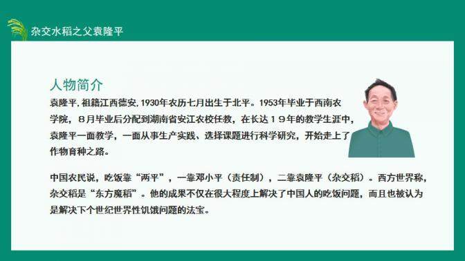 图片[4]-中国工程院院士杂交水稻之父袁隆平动态PPT—免费分享好看实用的个人简历PPT-叨客学习资料网
