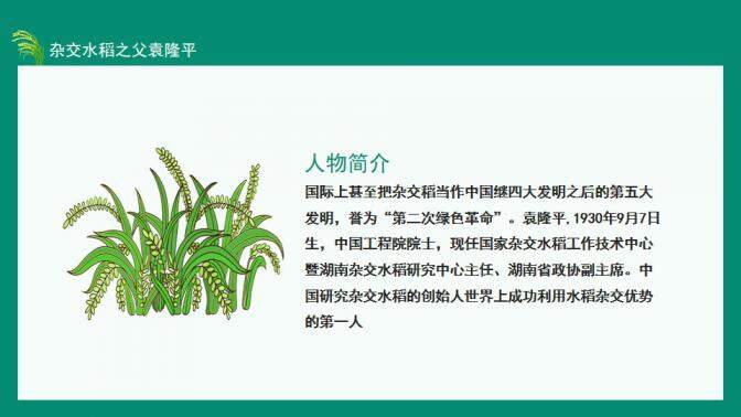 图片[5]-中国工程院院士杂交水稻之父袁隆平动态PPT—免费分享好看实用的个人简历PPT-叨客学习资料网