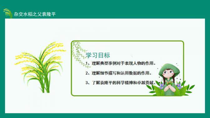 图片[3]-中国工程院院士杂交水稻之父袁隆平动态PPT—免费分享好看实用的个人简历PPT-叨客学习资料网