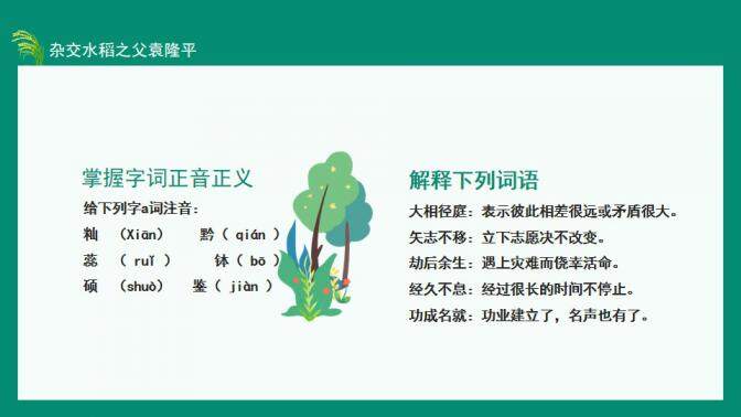 图片[7]-中国工程院院士杂交水稻之父袁隆平动态PPT—免费分享好看实用的个人简历PPT-叨客学习资料网