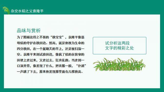 图片[10]-中国工程院院士杂交水稻之父袁隆平动态PPT—免费分享好看实用的个人简历PPT-叨客学习资料网