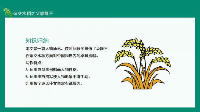 图片[13]-中国工程院院士杂交水稻之父袁隆平动态PPT—免费分享好看实用的个人简历PPT-叨客学习资料网