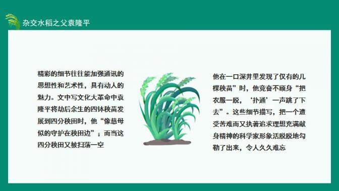 图片[12]-中国工程院院士杂交水稻之父袁隆平动态PPT—免费分享好看实用的个人简历PPT-叨客学习资料网