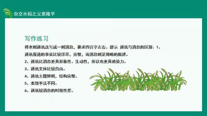 图片[23]-中国工程院院士杂交水稻之父袁隆平动态PPT—免费分享好看实用的个人简历PPT-叨客学习资料网