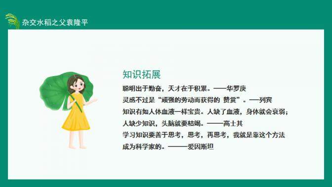 图片[24]-中国工程院院士杂交水稻之父袁隆平动态PPT—免费分享好看实用的个人简历PPT-叨客学习资料网