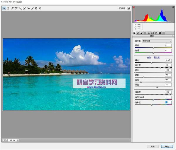 Adobe Camera Raw 14汉化版