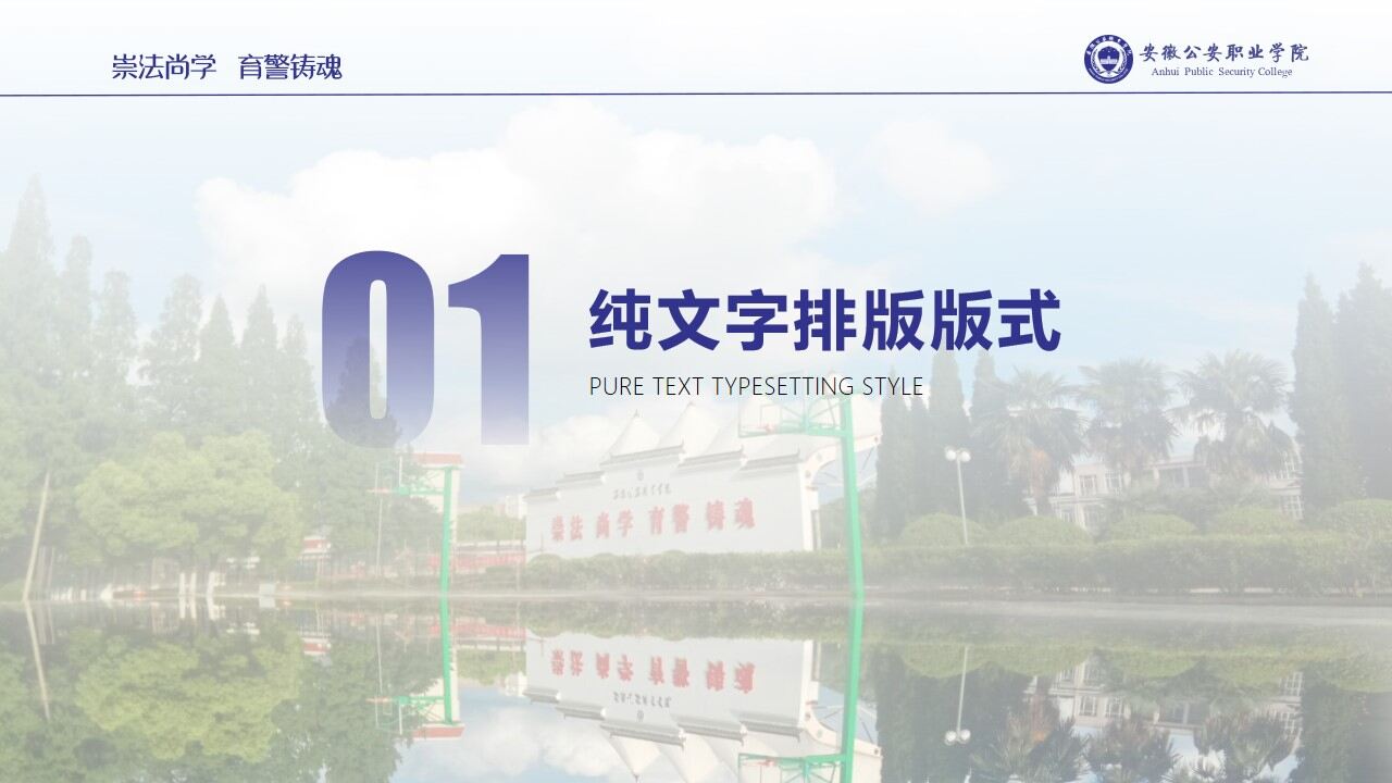 图片[6]-安徽公安职业学院学术答辩简约通用ppt模板—免费分享好看实用的毕业答辩PPT-叨客学习资料网