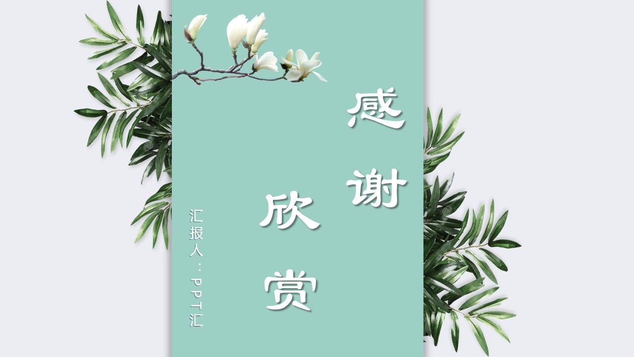 绿色简约小清新植物背景PPT模板—免费分享好看实用的工作汇报PPT-叨客学习资料网