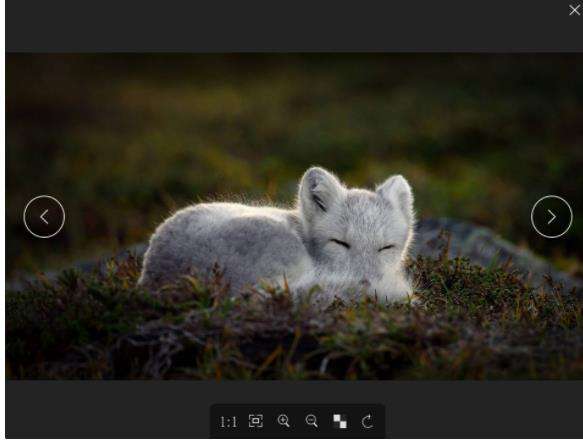 图片[2]-图像查看器-Pineapple Pictures中文绿色版-叨客学习资料网