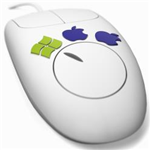 ShareMouse 5.0.49 破解版 –Windows 鼠标远程工具控制工具-叨客学习资料网