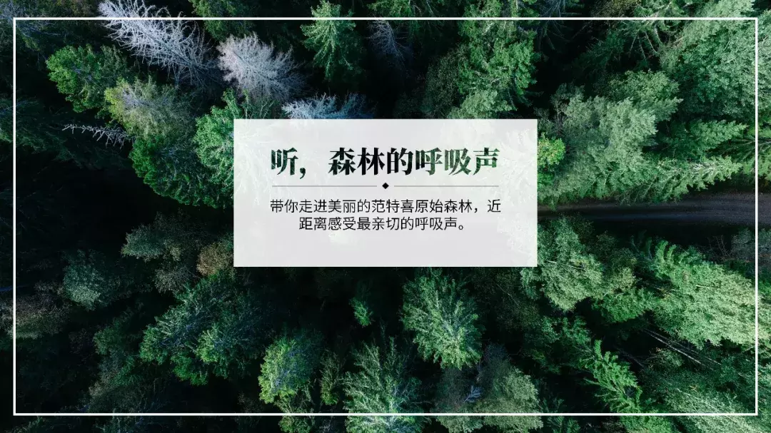 4种巨大上的PPT文字作用,强烈推荐我们学习一下!