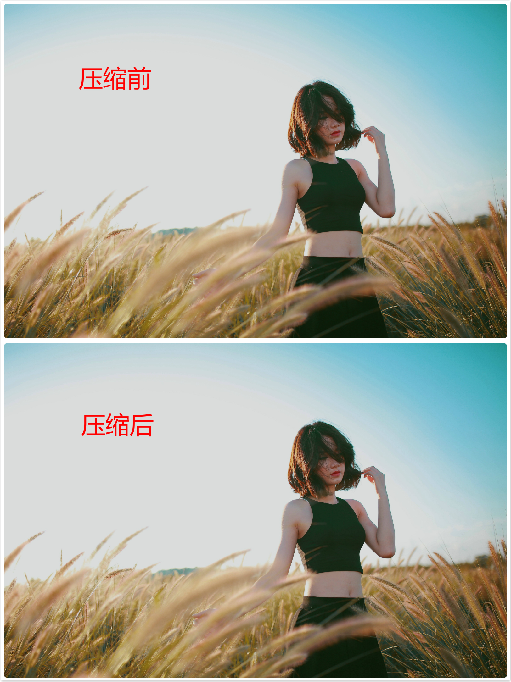 我的妈呀,Excel竟然还能紧缩图片大小?这波操作未免太骚太强了