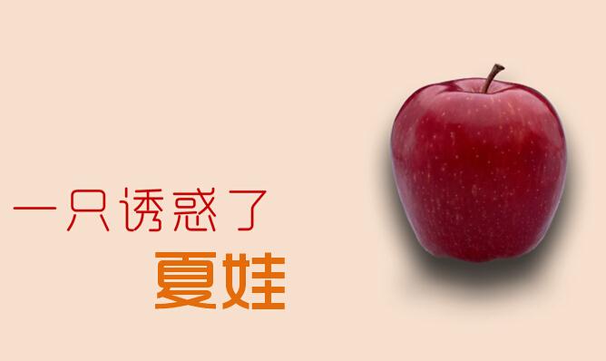 ppt是什么意思