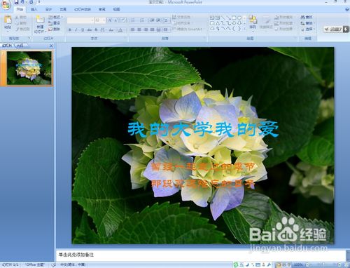 ppt布景图片怎样设置