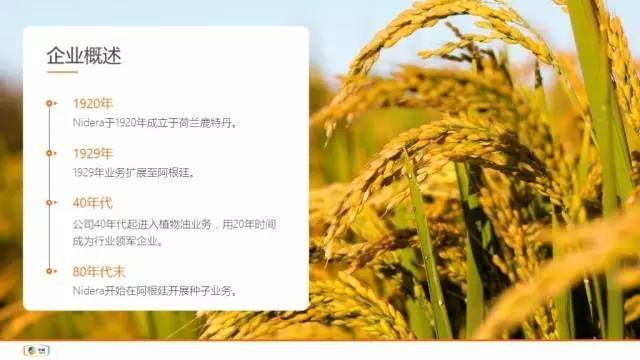 PPT规划之:文本排版
