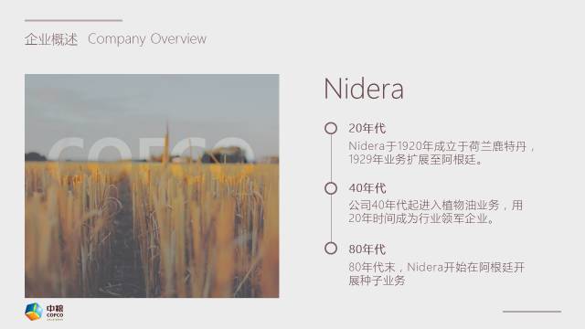 PPT规划之:文本排版