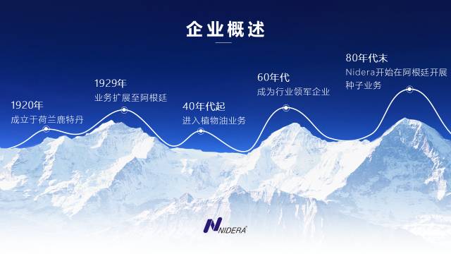 PPT规划之:文本排版