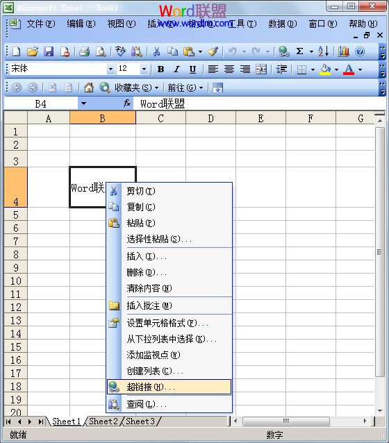 在Excel中加上超链接到网站
