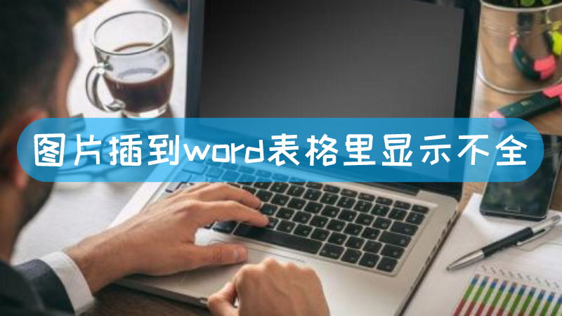 图片插到word表格里显示不全-叨客学习资料网