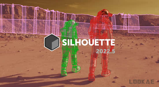 Silhouette 2022.5.0 Win影视后期ROTO跟踪抠像合成软件AE/PR/达芬奇/VEGAS/OFX插件-叨客学习资料网