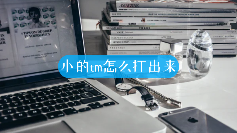 小的tm怎么打出来-叨客学习资料网